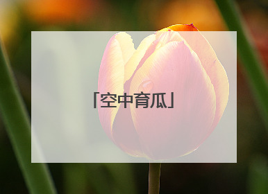 空中育瓜