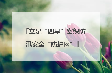 立足“四早”密织防汛安全“防护网”