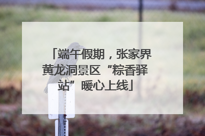 端午假期，张家界黄龙洞景区“粽香驿站”暖心上线