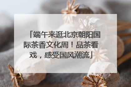 端午来逛北京朝阳国际茶香文化周！品茶看戏，感受国风潮流