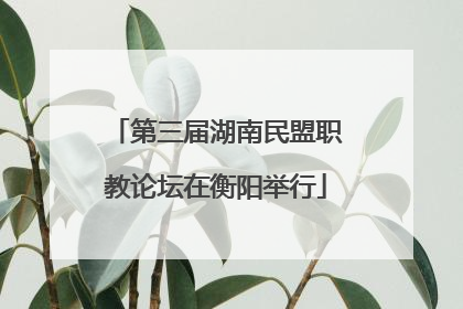 第三届湖南民盟职教论坛在衡阳举行