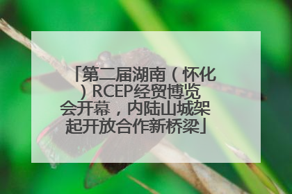 第二届湖南（怀化）RCEP经贸博览会开幕，内陆山城架起开放合作新桥梁