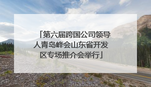 第六届跨国公司领导人青岛峰会山东省开发区专场推介会举行