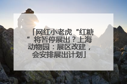 网红小老虎“红糖”将暂停展出？上海动物园：展区改建，会安排展出计划