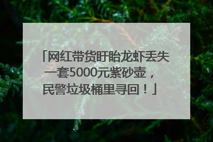 网红带货盱眙龙虾丢失一套5000元紫砂壶，民警垃圾桶里寻回！