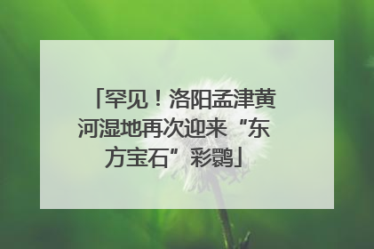 罕见！洛阳孟津黄河湿地再次迎来“东方宝石”彩鹮