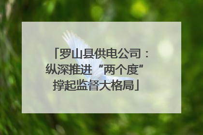 罗山县供电公司：纵深推进“两个度” 撑起监督大格局