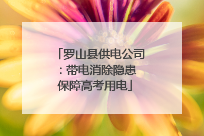 罗山县供电公司：带电消除隐患 保障高考用电