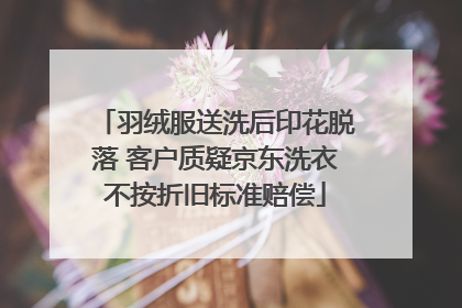羽绒服送洗后印花脱落 客户质疑京东洗衣不按折旧标准赔偿