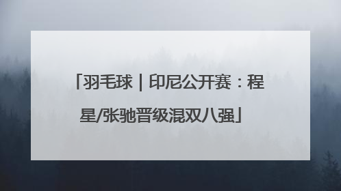 羽毛球｜印尼公开赛：程星/张驰晋级混双八强