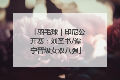 羽毛球｜印尼公开赛：刘圣书/谭宁晋级女双八强