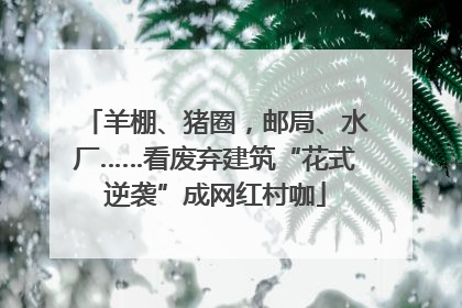 羊棚、猪圈，邮局、水厂……看废弃建筑“花式逆袭”成网红村咖