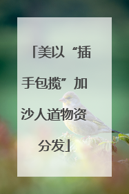 美以“插手包揽”加沙人道物资分发