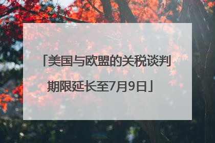 美国与欧盟的关税谈判期限延长至7月9日
