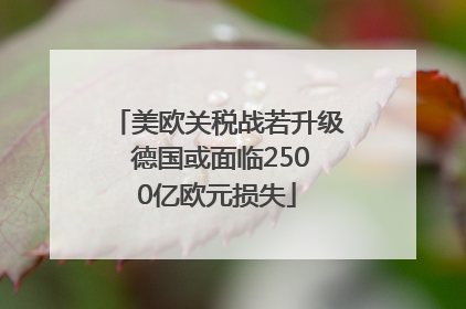 美欧关税战若升级 德国或面临2500亿欧元损失