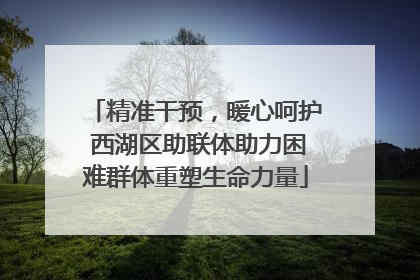 精准干预，暖心呵护 西湖区助联体助力困难群体重塑生命力量