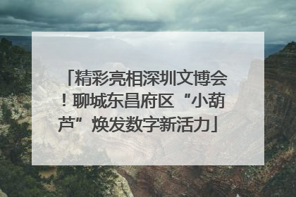 精彩亮相深圳文博会！聊城东昌府区“小葫芦”焕发数字新活力