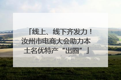 线上、线下齐发力！汝州市电商大会助力本土名优特产“出圈”