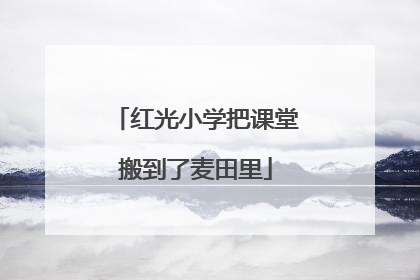 红光小学把课堂搬到了麦田里