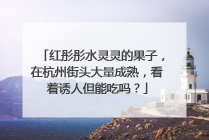 红彤彤水灵灵的果子，在杭州街头大量成熟，看着诱人但能吃吗？