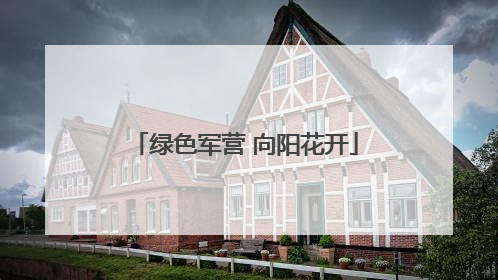 绿色军营 向阳花开