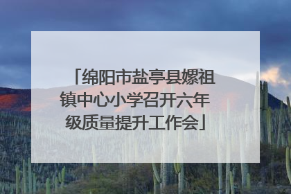 绵阳市盐亭县嫘祖镇中心小学召开六年级质量提升工作会