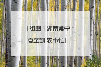 组图丨湖南常宁：夏至到 农事忙