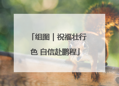 组图｜祝福壮行色 自信赴鹏程