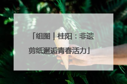 组图｜桂阳：非遗剪纸邂逅青春活力
