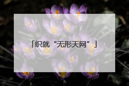 织就“无形天网”