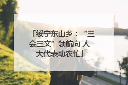 绥宁东山乡：“三会三文”领航向 人大代表助农忙