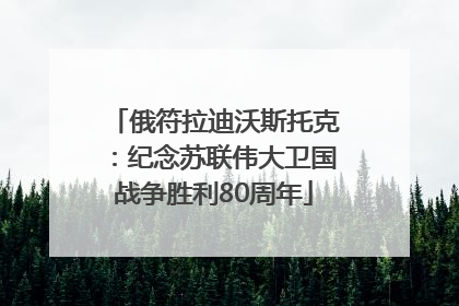 俄符拉迪沃斯托克：纪念苏联伟大卫国战争胜利80周年