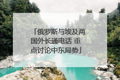俄罗斯与埃及两国外长通电话 重点讨论中东局势