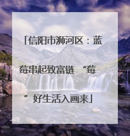 信阳市浉河区：蓝莓串起致富链 “莓”好生活入画来