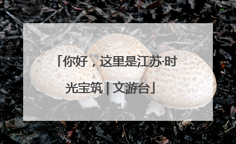 你好，这里是江苏·时光宝筑 | 文游台