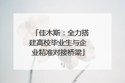 佳木斯：全力搭建高校毕业生与企业精准对接桥梁
