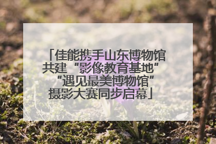 佳能携手山东博物馆共建“影像教育基地” “遇见最美博物馆”摄影大赛同步启幕