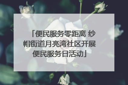 便民服务零距离 纱帽街道月亮湾社区开展便民服务日活动