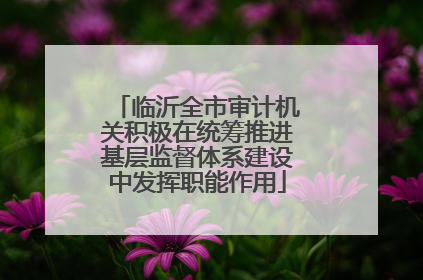 临沂全市审计机关积极在统筹推进基层监督体系建设中发挥职能作用