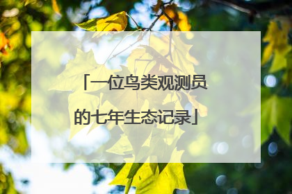 一位鸟类观测员的七年生态记录