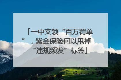 一中支领“百万罚单”，紫金保险何以甩掉“违规频发”标签