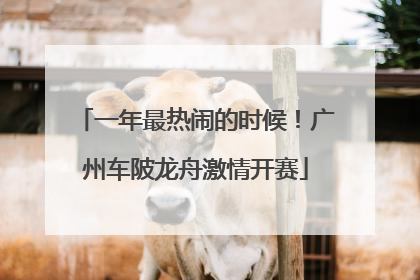 一年最热闹的时候！广州车陂龙舟激情开赛