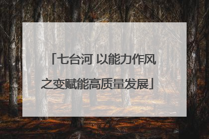 七台河 以能力作风之变赋能高质量发展
