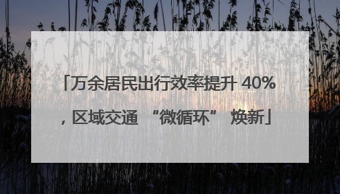 万余居民出行效率提升 40%，区域交通 “微循环” 焕新