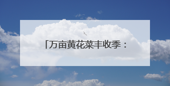 万亩黄花菜丰收季：“质量 + 安全” 驱动产业高质量发展