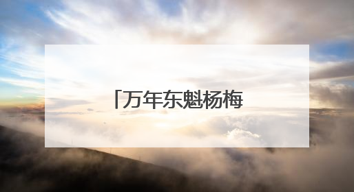 万年东魁杨梅 酸甜可口