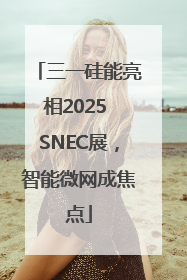三一硅能亮相2025 SNEC展，智能微网成焦点