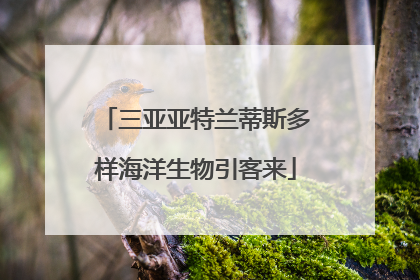 三亚亚特兰蒂斯多样海洋生物引客来