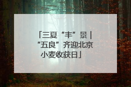 三夏“丰”景｜“五良”齐迎北京小麦收获日