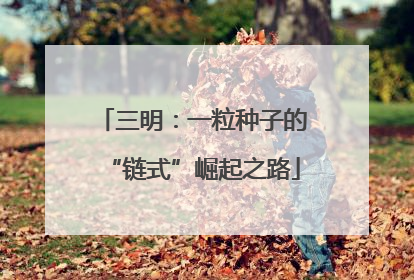 三明：一粒种子的“链式”崛起之路